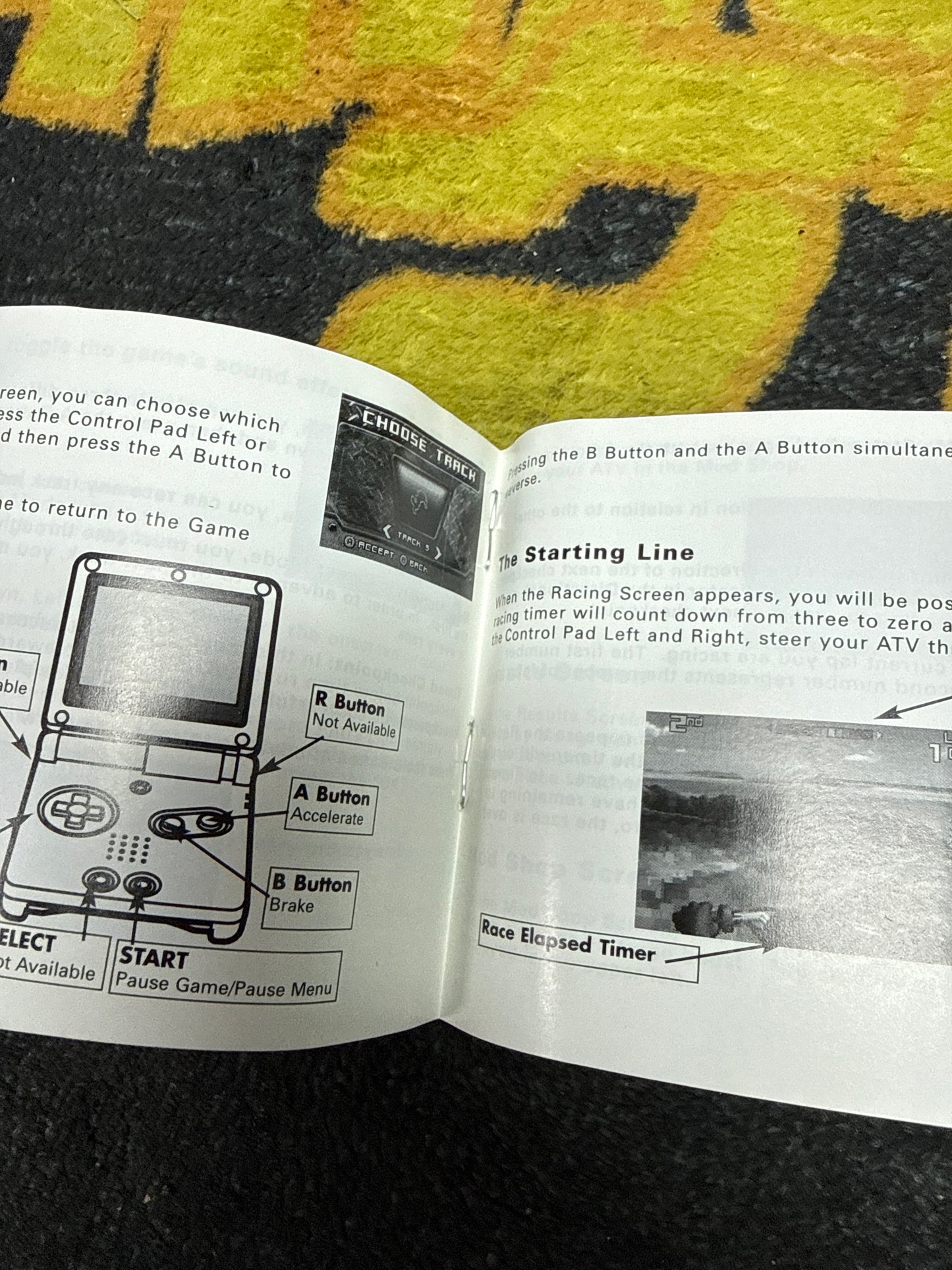 ATV Thunder Ridge Riders INSTRUCTIONS ONLY for Nintendo Gameboy Advance (Used)